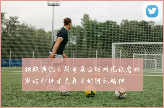 杨毅调侃东契奇最后时刻甩锅詹姆斯的妙传才是真正的团队精神