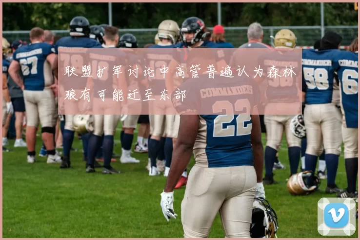 联盟扩军讨论中高管普遍认为森林狼有可能迁至东部